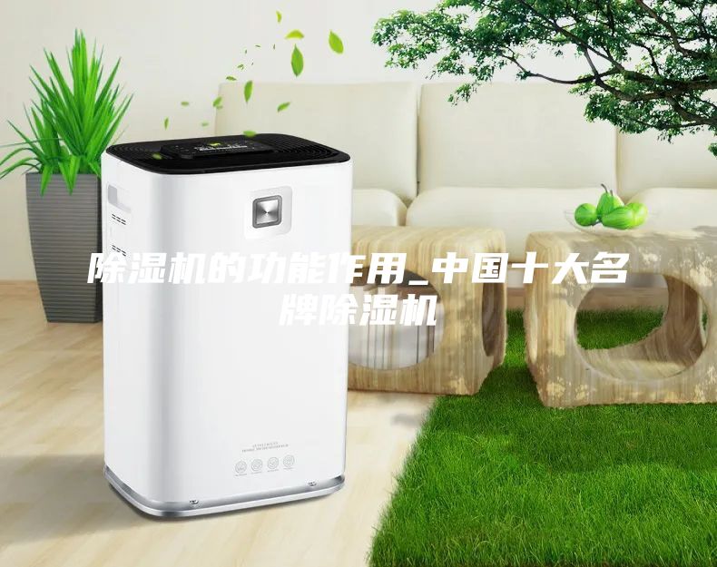 除湿机的功能作用_中国十大名牌除湿机