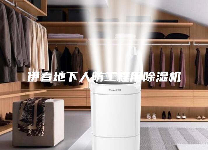 伊春地下人防工程用除湿机