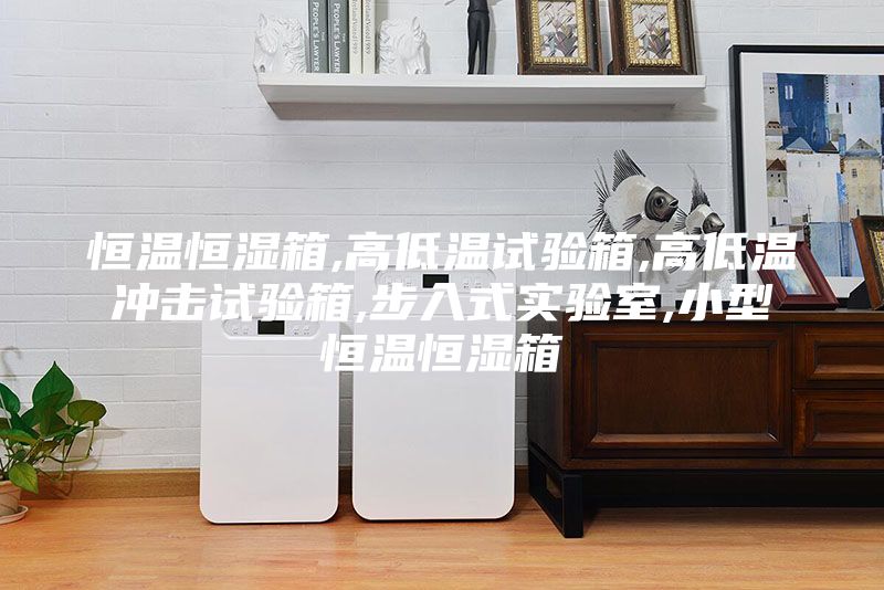 恒温恒湿箱,高低温试验箱,高低温冲击试验箱,步入式实验室,小型恒温恒湿箱