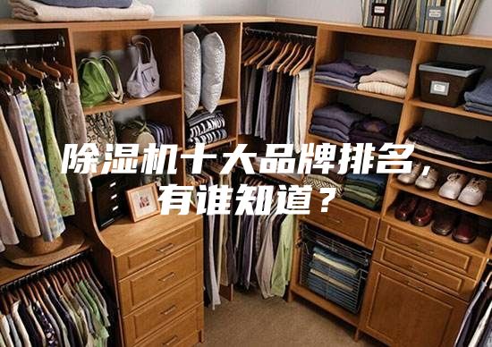除湿机十大品牌排名，有谁知道？