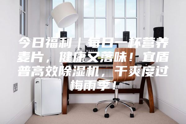 今日福利｜每日一杯营养麦片，健康又落味！宜盾普高效除湿机，干爽度过梅雨季！