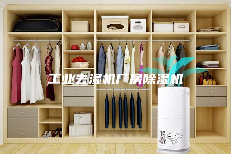 工业去湿机厂房除湿机