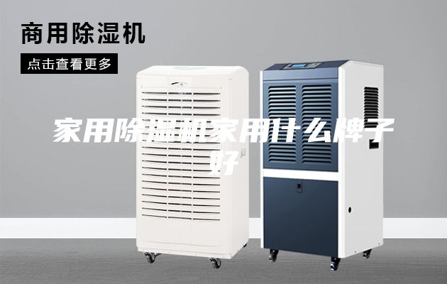 家用除湿机家用什么牌子好