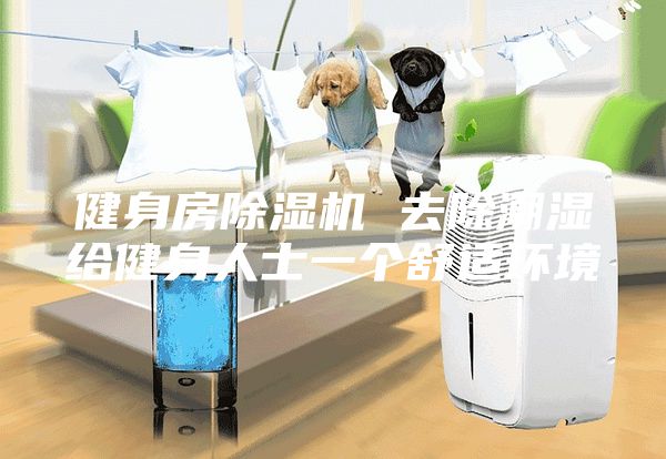 健身房除湿机 去除潮湿给健身人士一个舒适环境