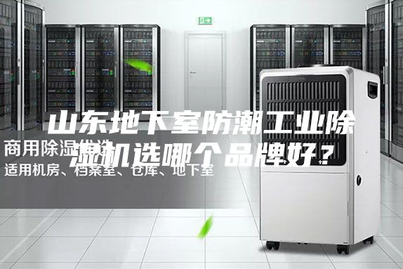 山东地下室防潮工业除湿机选哪个品牌好？