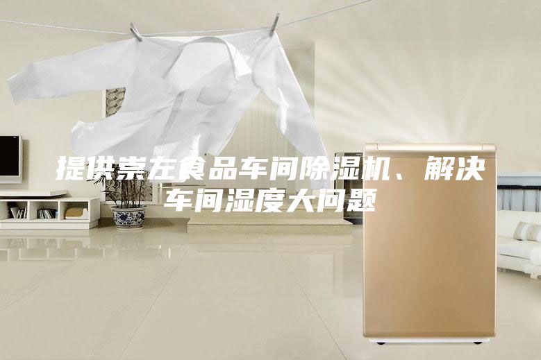 提供崇左食品车间除湿机、解决车间湿度大问题