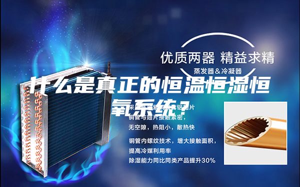 什么是真正的恒温恒湿恒氧系统？