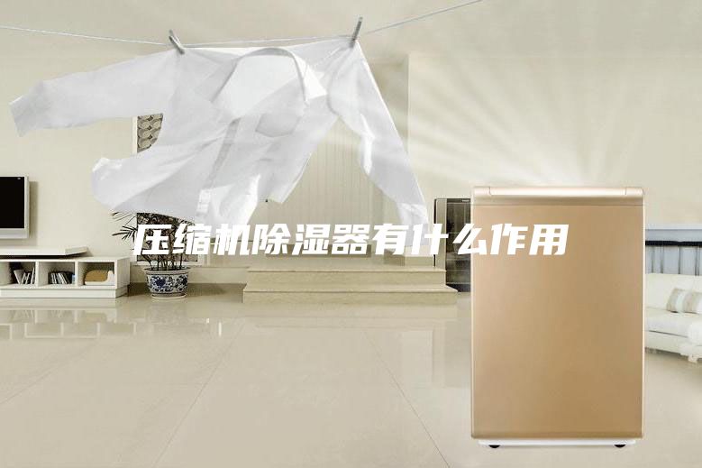 压缩机除湿器有什么作用