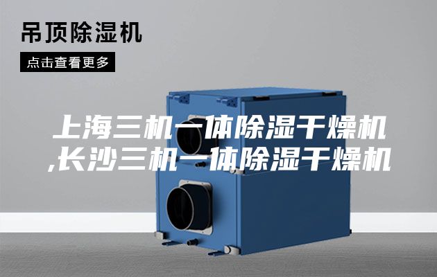 上海三机一体除湿干燥机,长沙三机一体除湿干燥机