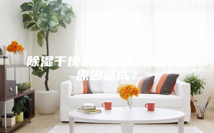 除湿干燥机噪音太大是什么原因造成？
