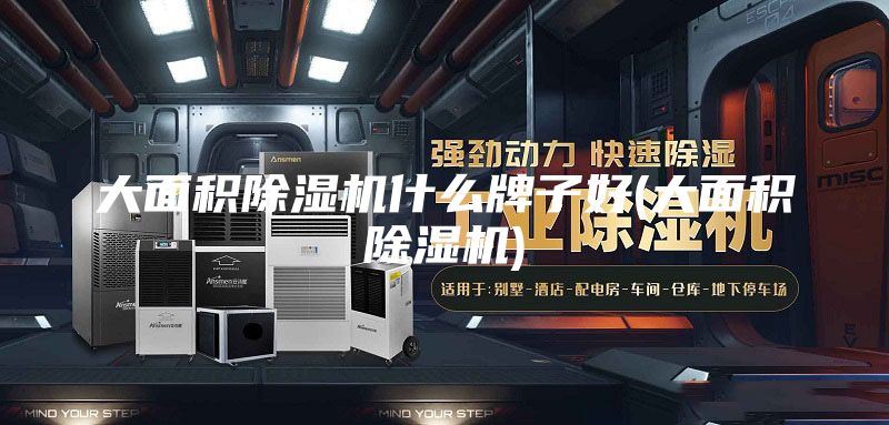 大面积除湿机什么牌子好(大面积除湿机)