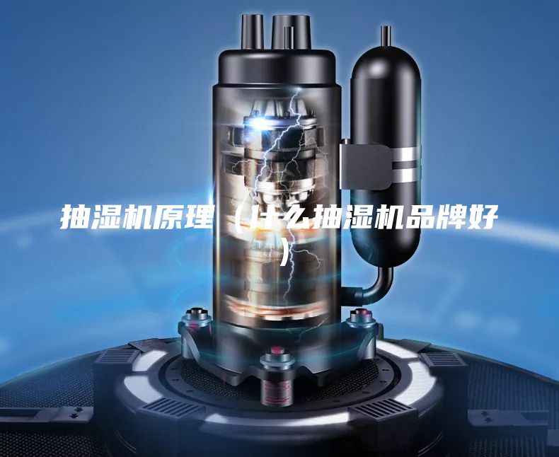 抽湿机原理（什么抽湿机品牌好）