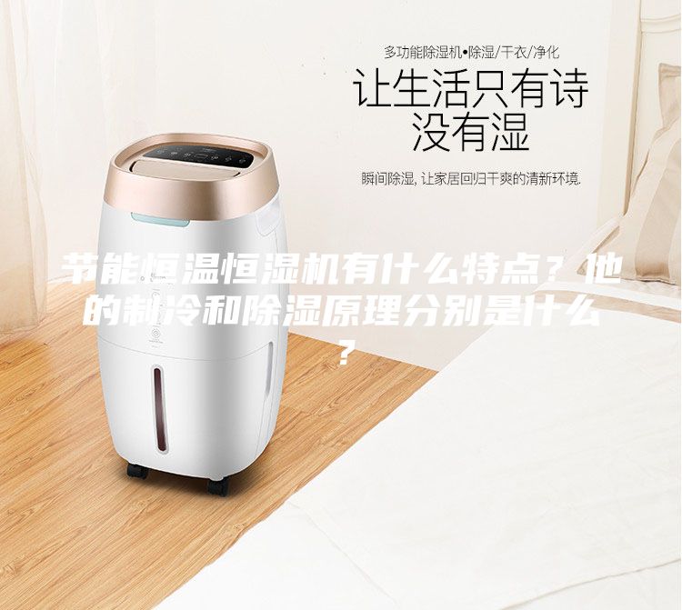 节能恒温恒湿机有什么特点？他的制冷和除湿原理分别是什么？