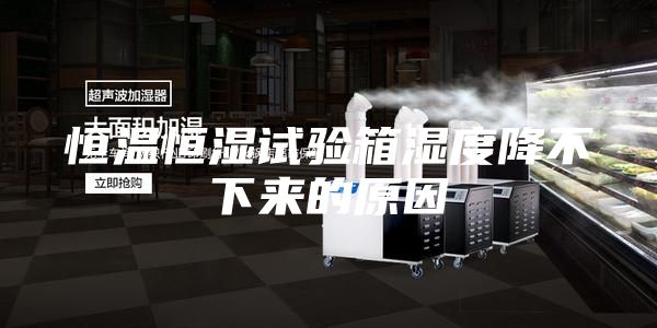 恒温恒湿试验箱湿度降不下来的原因