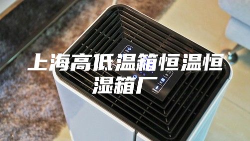 上海高低温箱恒温恒湿箱厂