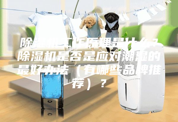 除湿机工作原理是什么？除湿机是否是应对潮湿的最好办法（有哪些品牌推荐）？