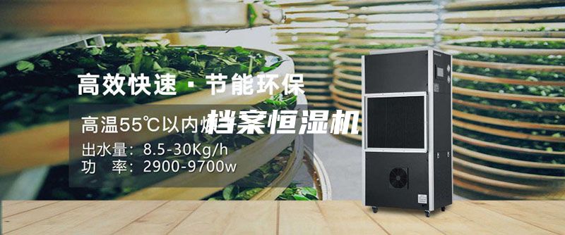 档案恒湿机