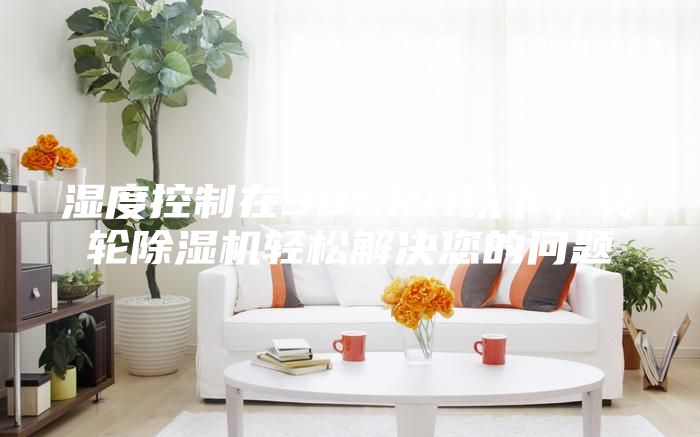湿度控制在30%RH以下，转轮除湿机轻松解决您的问题
