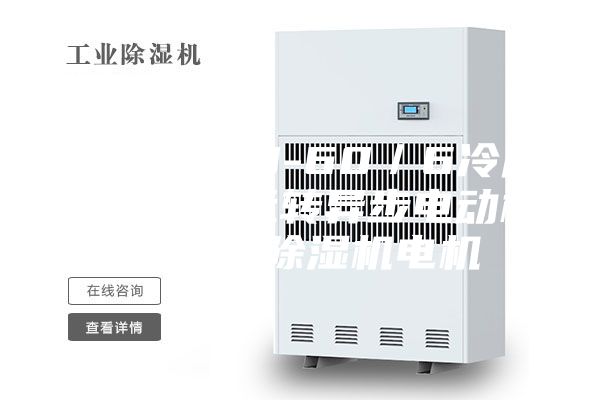 ASM-120-60／6冷风机用电容运转异步电动机60W 除湿机电机