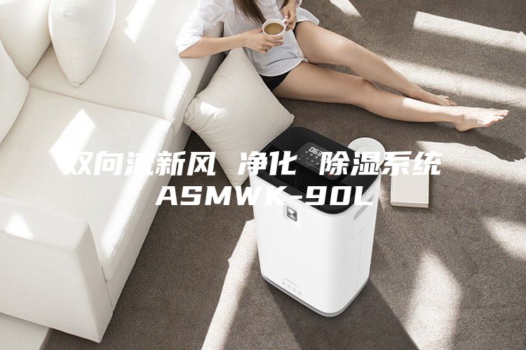 双向流新风 净化 除湿系统 ASMWK-90L
