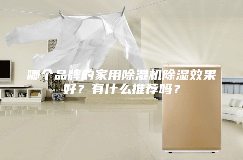 哪个品牌的家用除湿机除湿效果好？有什么推荐吗？