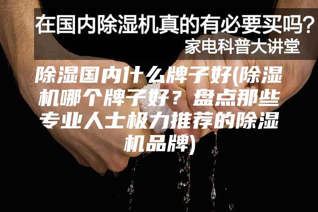 除湿国内什么牌子好(除湿机哪个牌子好？盘点那些专业人士极力推荐的除湿机品牌)