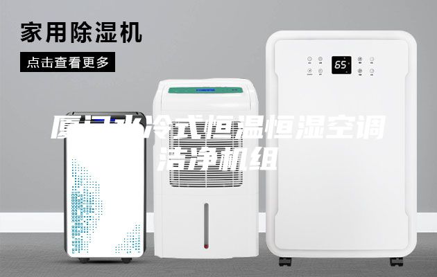 厦门水冷式恒温恒湿空调洁净机组