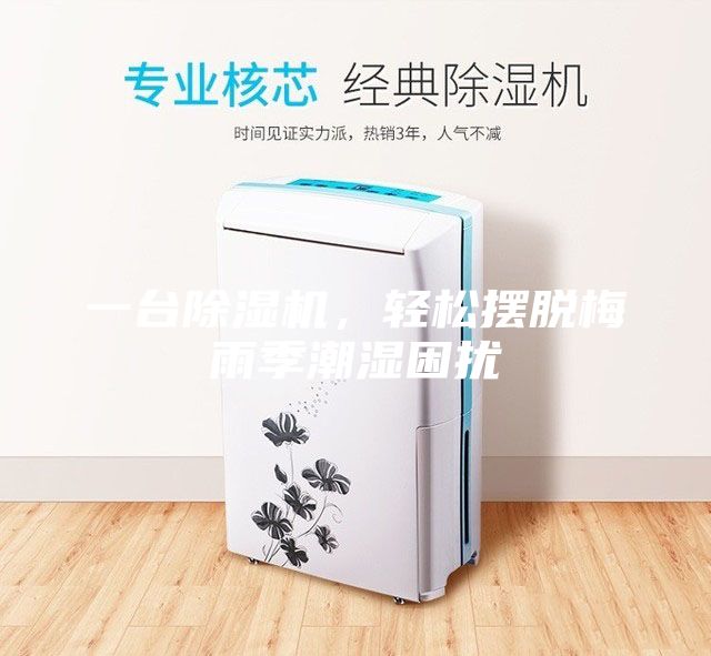 一台除湿机，轻松摆脱梅雨季潮湿困扰