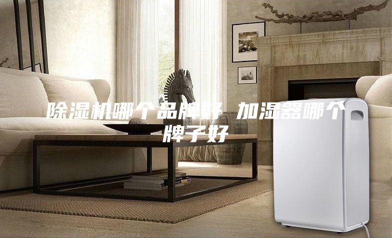 除湿机哪个品牌好 加湿器哪个牌子好