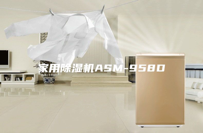 家用除湿机ASM-958D