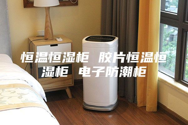 恒温恒湿柜 胶片恒温恒湿柜 电子防潮柜