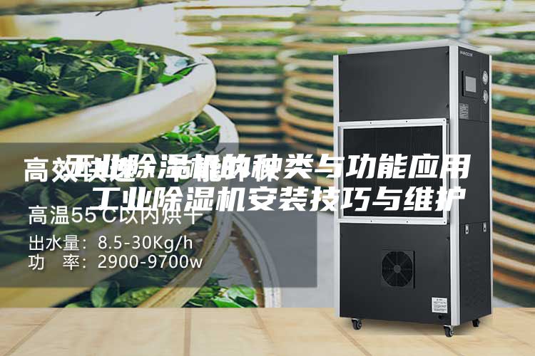 工业除湿机的种类与功能应用 工业除湿机安装技巧与维护