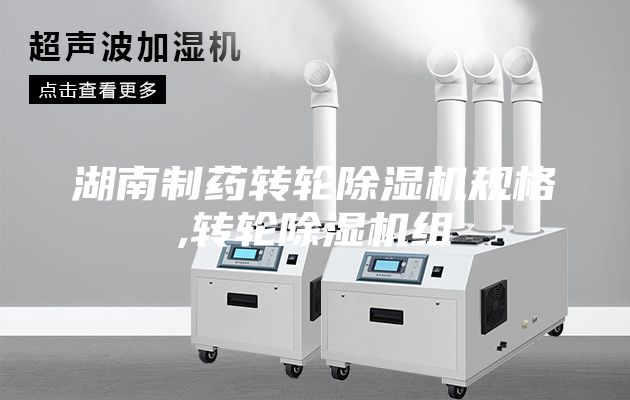 湖南制药转轮除湿机规格,转轮除湿机组