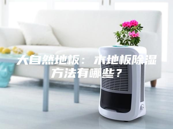 大自然地板：木地板除湿方法有哪些？