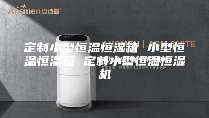 定制小型恒温恒湿箱 小型恒温恒湿箱 定制小型恒温恒湿机