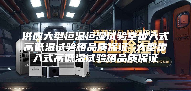 供应大型恒温恒湿试验室步入式高低温试验箱品质保证 大型步入式高低温试验箱品质保证