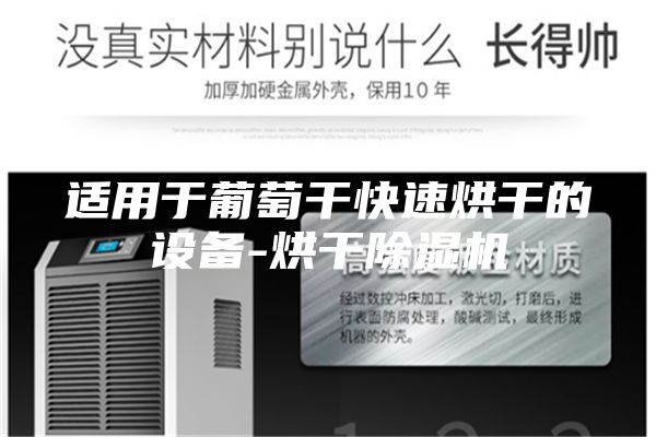适用于葡萄干快速烘干的设备-烘干除湿机