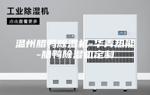 温州腊鸭除湿机-华青热能-腊鸭除湿机定制