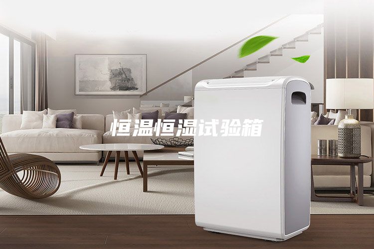 恒温恒湿试验箱