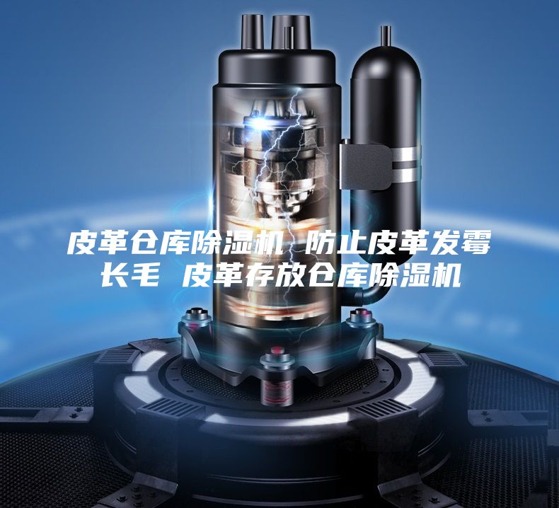 皮革仓库除湿机 防止皮革发霉长毛 皮革存放仓库除湿机