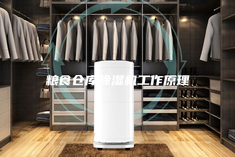 粮食仓库除湿机工作原理