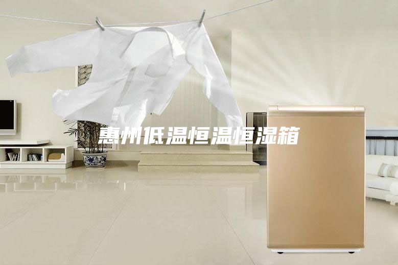 惠州低温恒温恒湿箱
