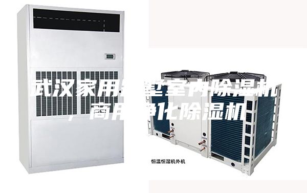 武汉家用别墅室内除湿机，商用净化除湿机