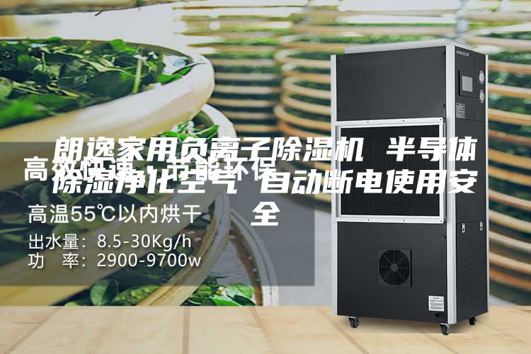 朗逸家用负离子除湿机 半导体除湿净化空气 自动断电使用安全