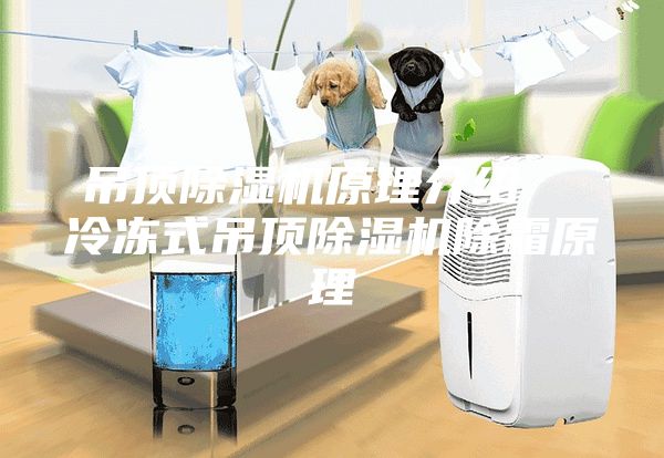 吊顶除湿机原理介绍  冷冻式吊顶除湿机除霜原理