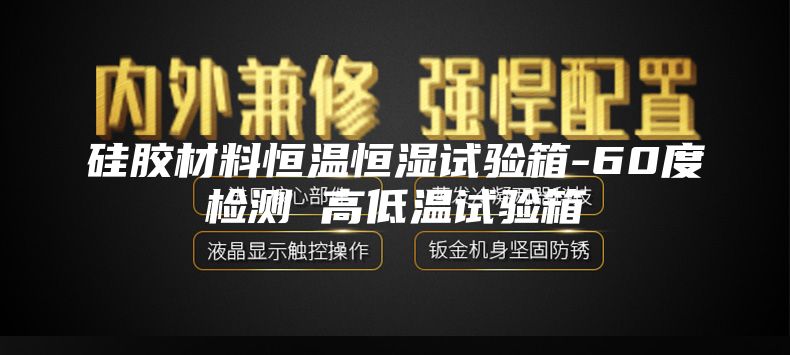 硅胶材料恒温恒湿试验箱-60度检测 高低温试验箱