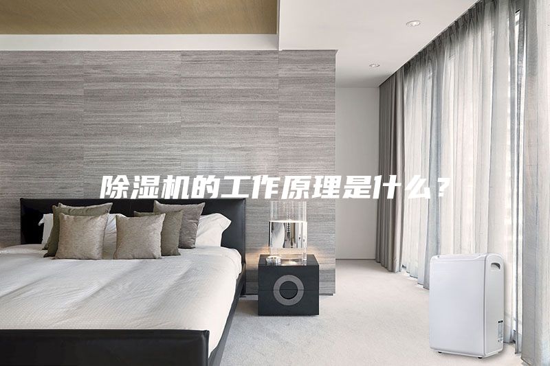 除湿机的工作原理是什么？
