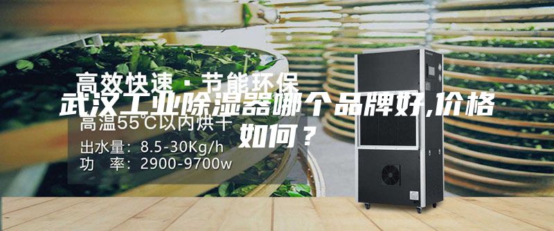 武汉工业除湿器哪个品牌好,价格如何？