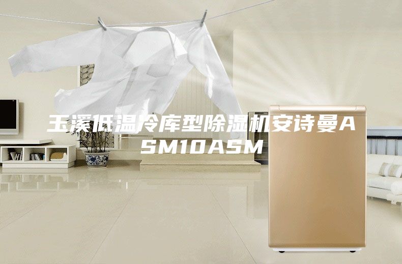 玉溪低温冷库型除湿机安诗曼ASM10ASM