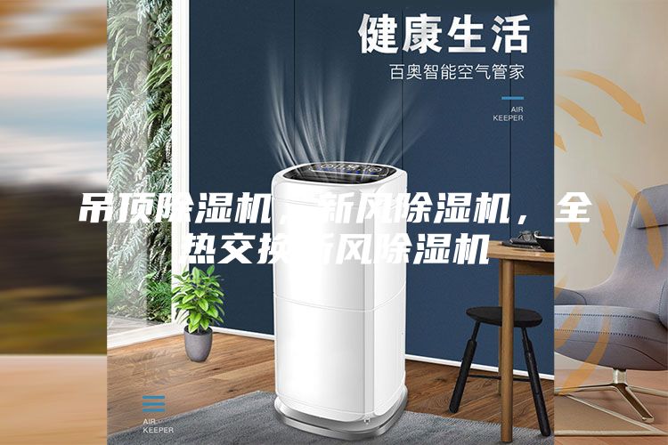 吊顶除湿机，新风除湿机，全热交换新风除湿机